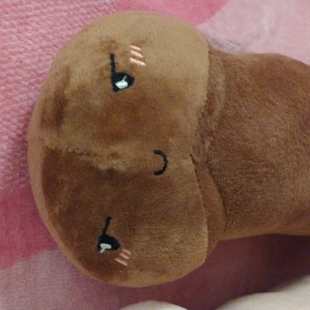 Peni$ Pal Plushie Set - Chocolate (Happy Face) & Vanilla (Sad Face) - Picture 4 of 5